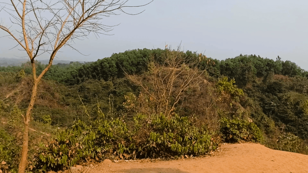 তিন পার্বত্য জেলার অন্তর্বর্তী পরিষদ পুনর্গঠনের সিদ্ধান্ত