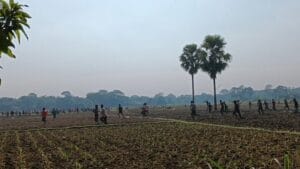 গোপালগঞ্জে সংঘর্ষ, আহত অর্ধশতাধিক