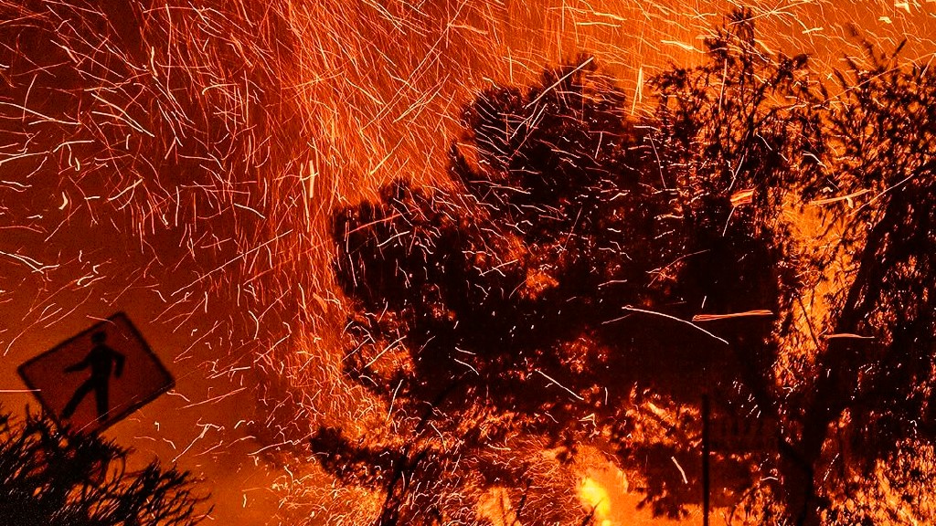 লস অ্যাঞ্জেলেসের দাবানলে নিহত বেড়ে ২৫, অগ্নিদামক ঘূর্ণিঝড়ের আশঙ্কা