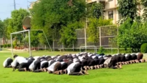 উত্তর প্রদেশে ভার্সিটিতে নামাজ পড়ায় শিক্ষার্থী গ্রেপ্তার, প্রতিবাদে আরো ছয়জনকে আটক