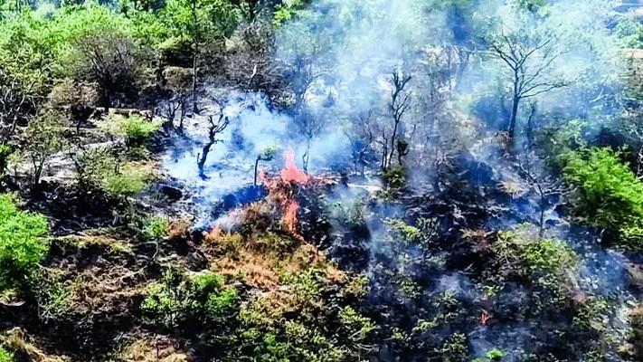 কাশ্মিরের সন্ত্রাস: মাইন বোমা ও বিস্ফোরণের ফাঁদে মানুষ ও প্রকৃতি