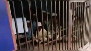 বিহারে উগ্র হিন্দুত্ববাদীদের উস্কানিতে ৩২ মুসলিম শিশু আটক!