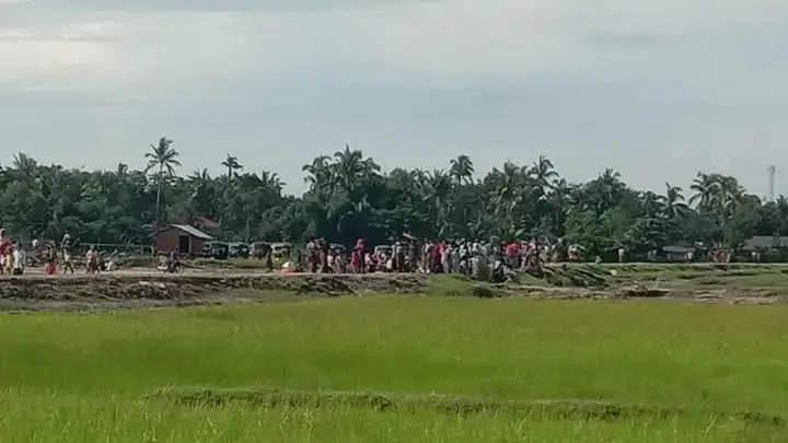 রোহিঙ্গাদের ঘরবাড়ি থেকে তাড়িয়ে ‘রাখাইন’ বৌদ্ধদের বসবাস করাচ্ছে আরাকান আর্মি