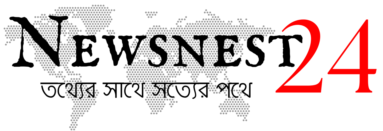News Nest Logo